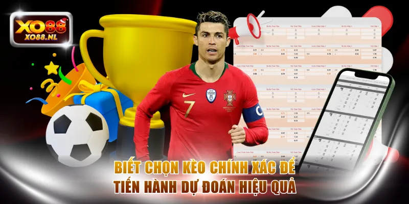 Biết chọn kèo chính xác để tiến hành dự đoán hiệu quả