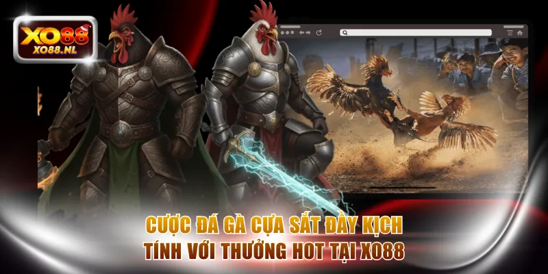 Đá gà cựa sắt