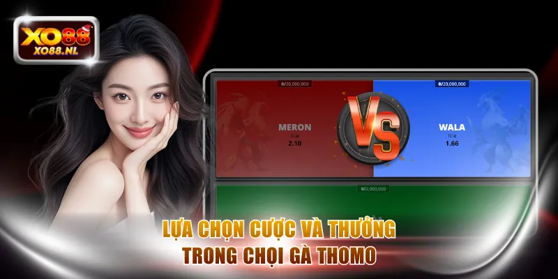 Lựa chọn cược và thưởng trong chọi gà Thomo