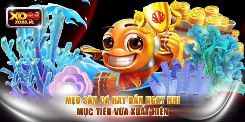 Mẹo săn cá hay bắn ngay khi mục tiêu vừa xuất hiện