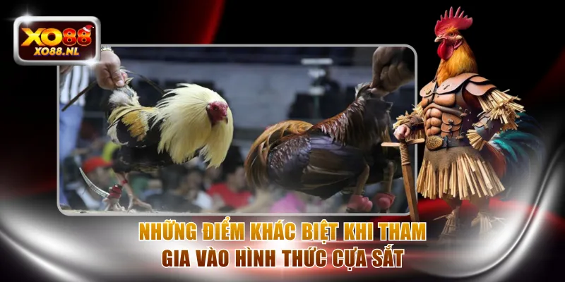 Những điểm khác biệt khi tham gia vào hình thức cựa sắt