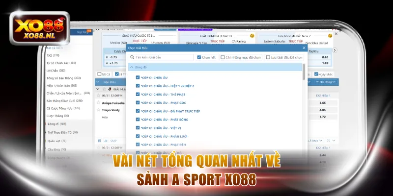 Vài nét tổng quan nhất về sảnh A Sport XO88